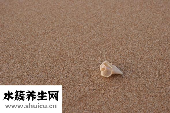海螺吃了甲藻怎么辦