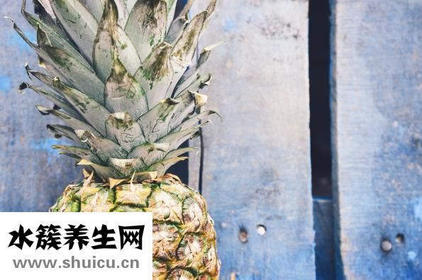 紙菠蘿怎么疊