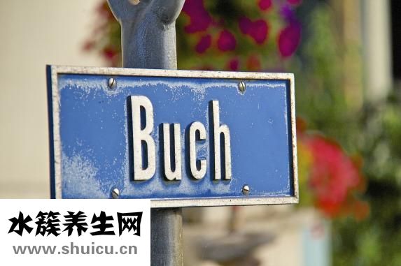 干英語怎么說