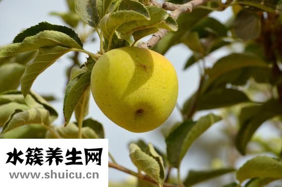 怎么可以厭食