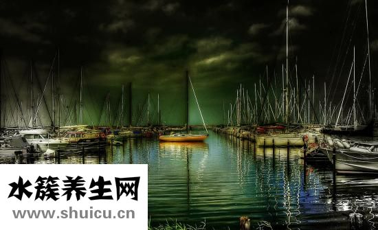 腰肥肉怎么減