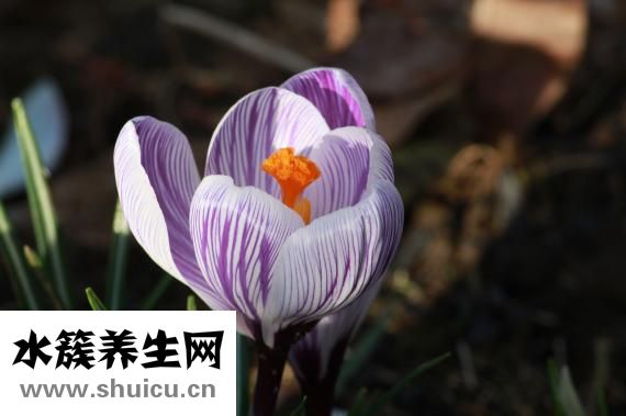 易生氣怎么辦