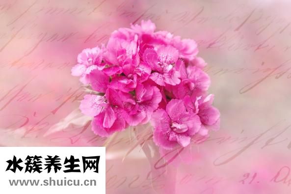 怎么測膚色