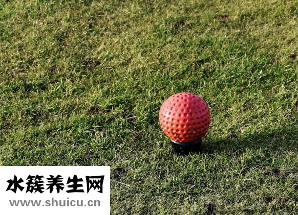 腰肥肉怎么減