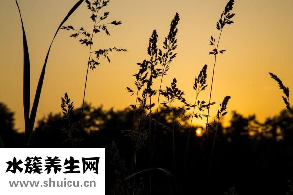 易生氣怎么辦