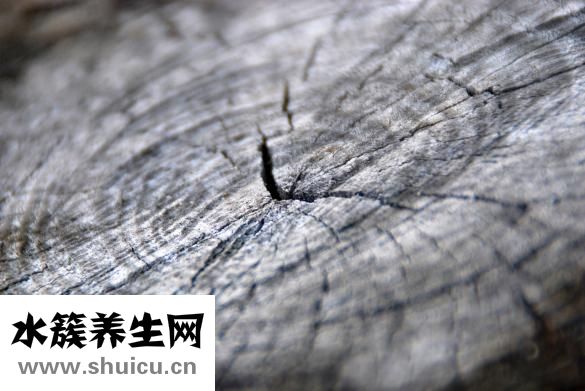 怎么做楊梅酒