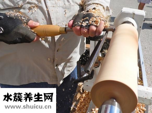 怎么做楊梅酒