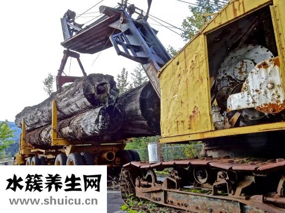 打樁怎么算錢
