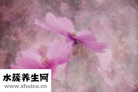 怎么測膚色