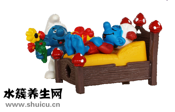 小擺件怎么放