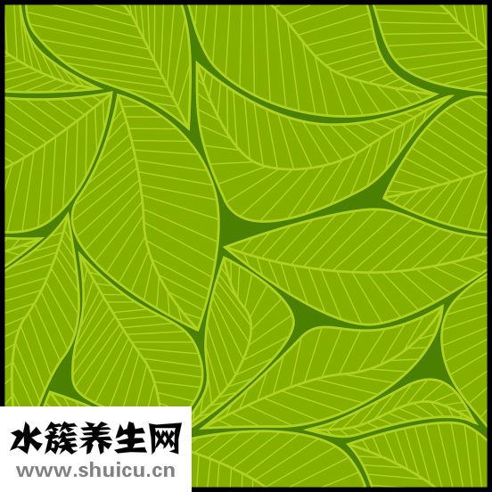 怎么能養好草金魚