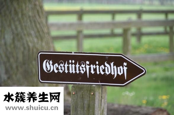 怎么瘦腓腸肌