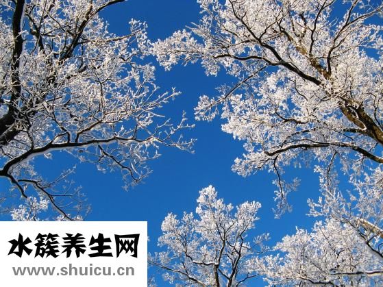怎么調整好心態