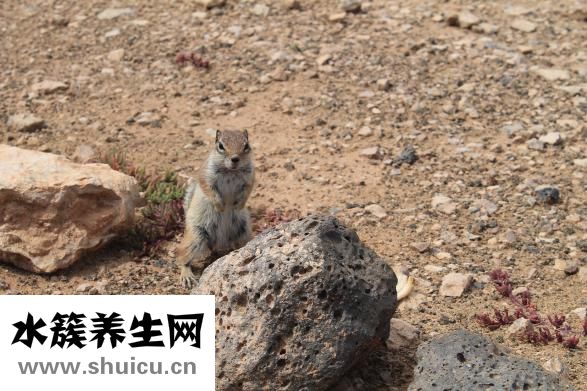 怎么把腳骨折