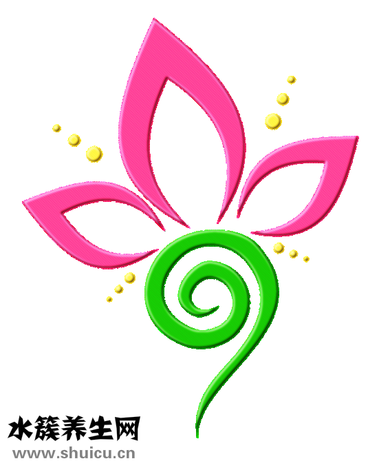油發魚肚怎么做好吃