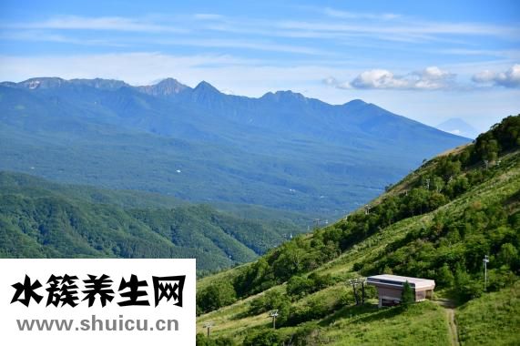 小槐花怎么種
