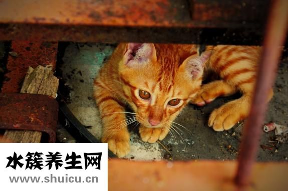 怎么讓汗毛變細