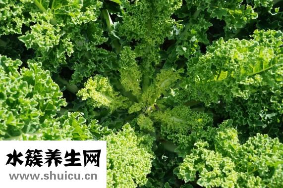河螃蟹怎么養