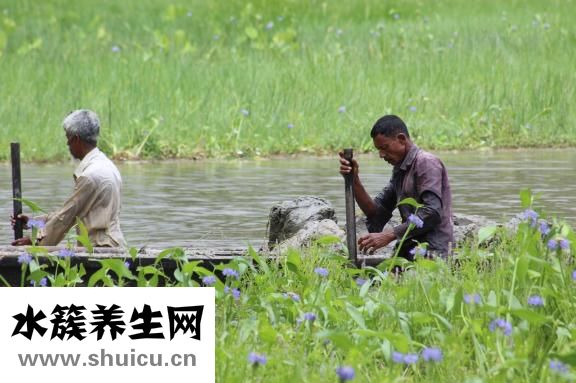 病假怎么修