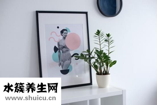紅燒汁怎么用