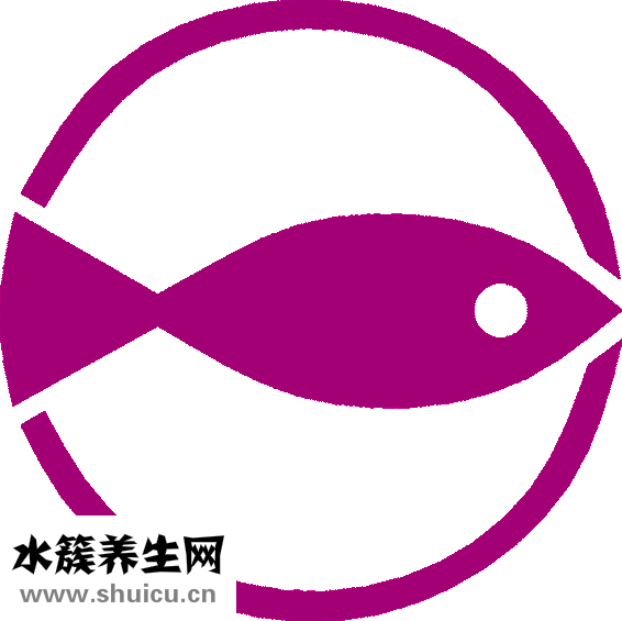 海礪子怎么洗