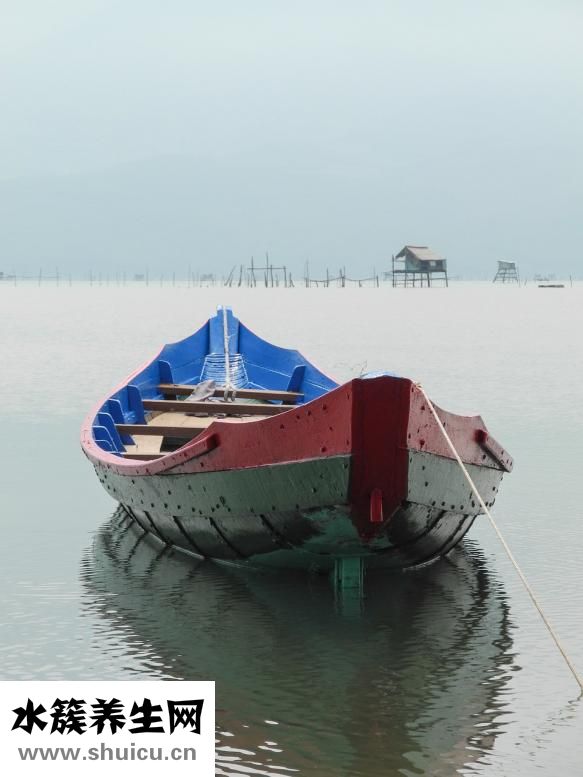 海礪子怎么洗