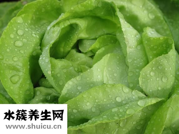 火鍋湯怎么兌