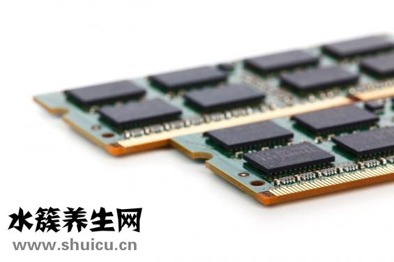 白參怎么制