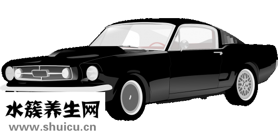 汽車染色怎么辦