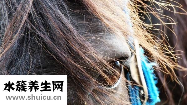 圓錐怎么折