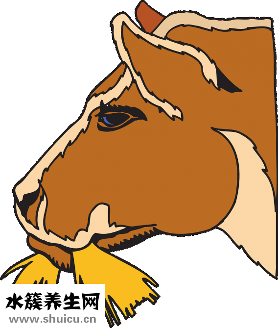 小腦痛怎么辦