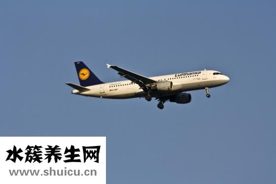 在家里怎么藏飛機杯