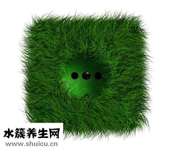 用醋怎么減肥