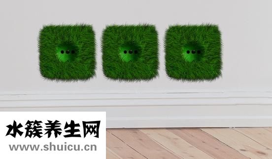 用醋怎么減肥