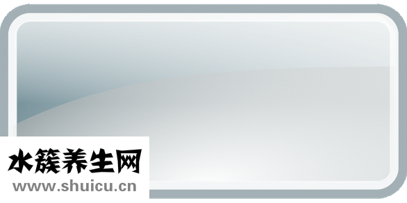 攤面餅的面糊怎么調
