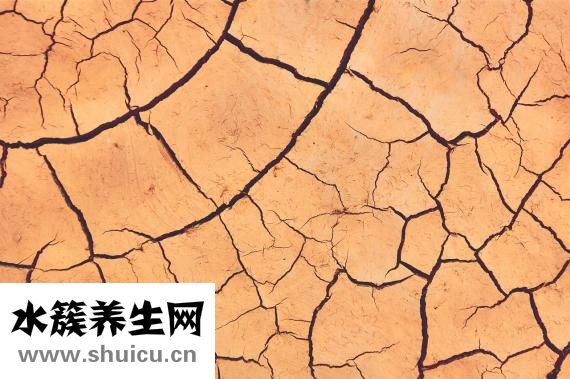 怎么測試早孕