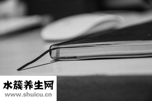 燒烤怎么烤才不會焦