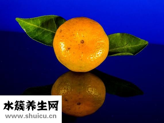怎么種橙子