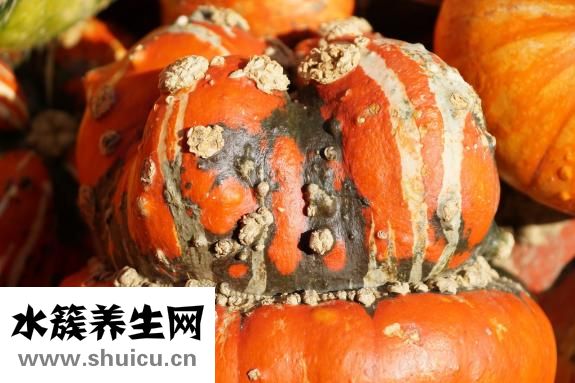 家里豆子生蟲怎么除