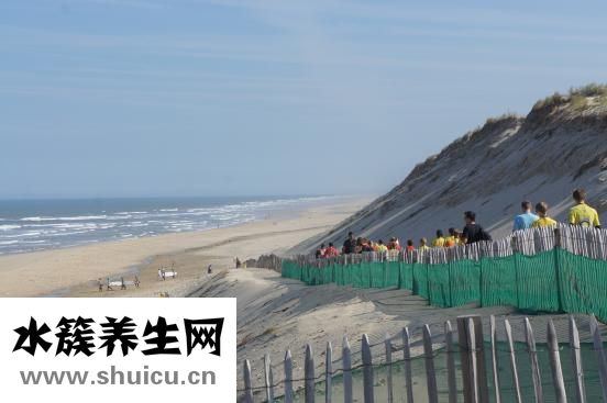 泥巴色怎么調