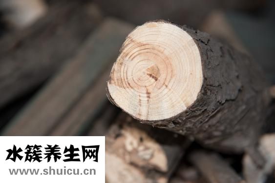 小百靈鳥怎么分公母