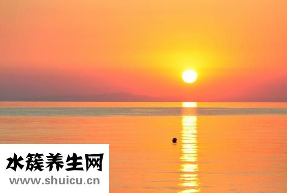 狗癢怎么辦