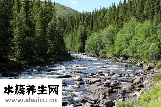 山影怎么養
