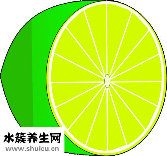 怎么用鹽洗頭