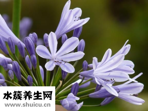 多囊怎么鍛煉