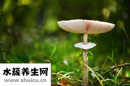 腿真菌感染癢怎么辦