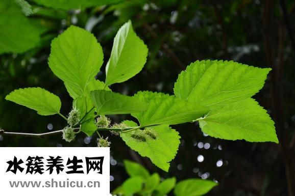 多囊怎么鍛煉