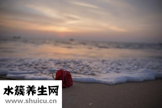 皮膚超級干怎么辦