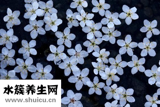 水線長怎么算