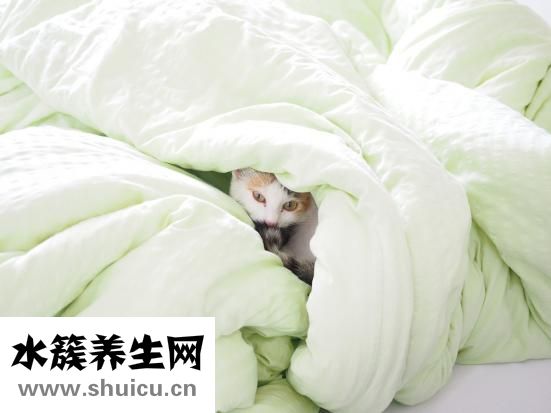 毛巾臭怎么辦